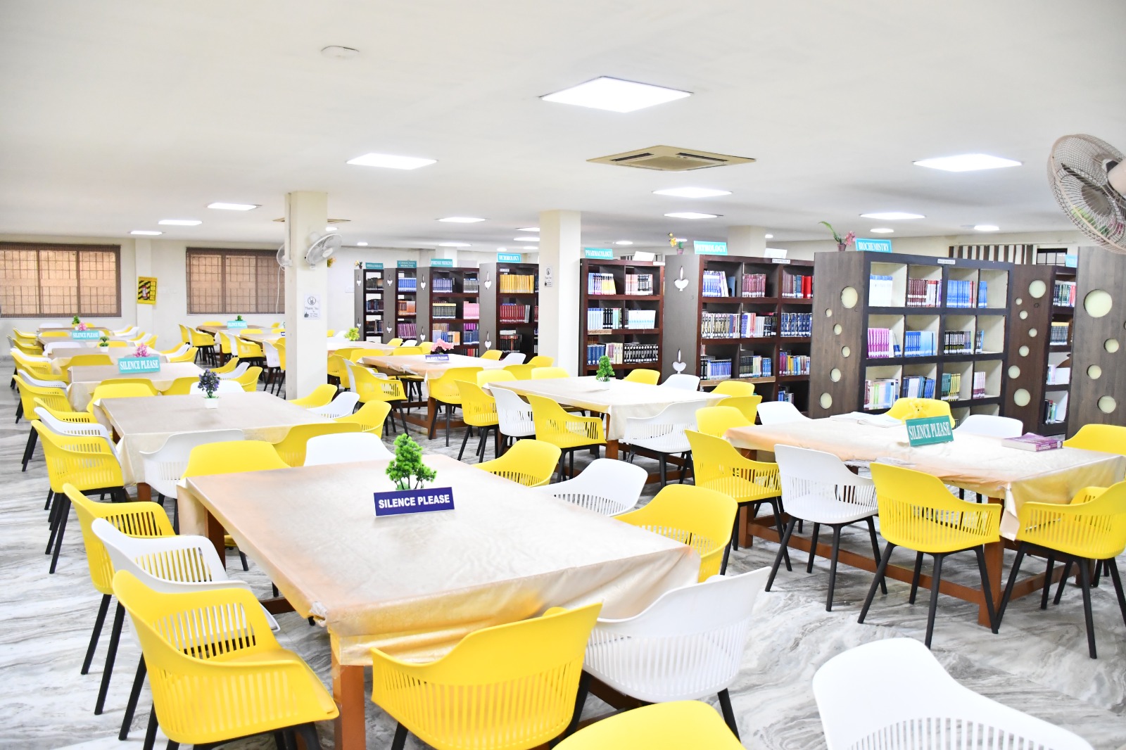 Library photo 11